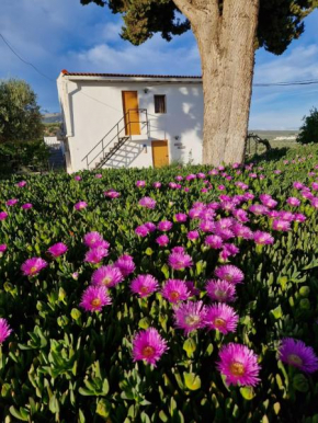 Casita of Casa Olivar, Tocón
